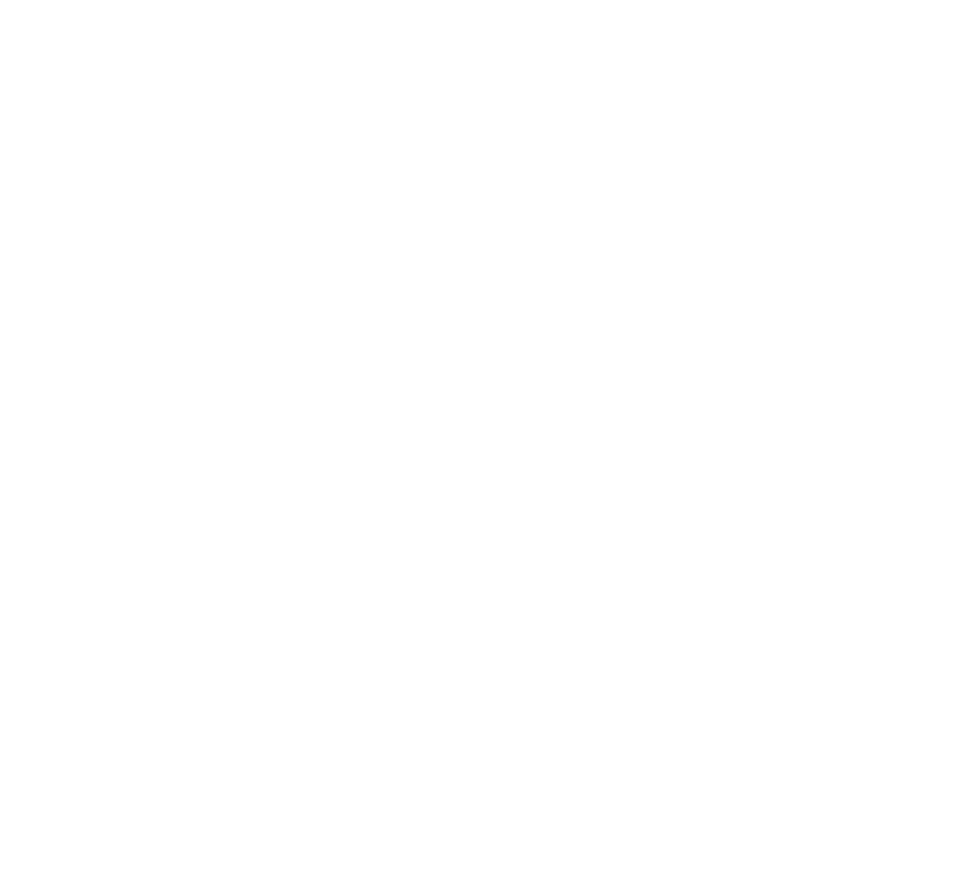 logo krachtigpaard wit